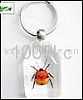 Keychain - Insect Amber Crafts