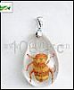 Pendant-Insect Amber Jewelry
