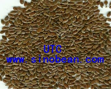 Linseeds(Flax Seeds)