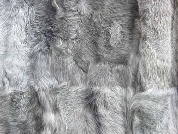 Fox Fur