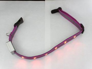 Flashing Safety Dog Collar