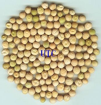 White Peas