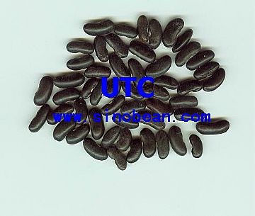 Black Kidney Beans Long Shaped