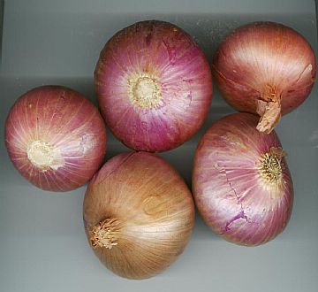 Red Onion