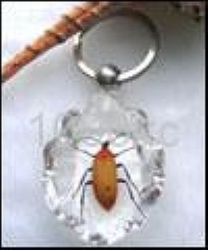 Keychain-Insect Amber Crafts