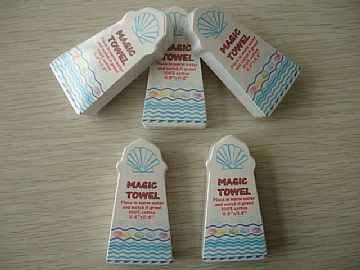 Compressed Towel