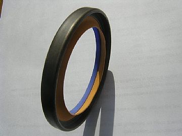 Quanseal&Trade;  Dl Series Ptfe Lip-Rotary Shaft Seal