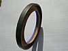 Quanseal&Trade;  DL Series PTFE Lip-Rotary Shaft Seal