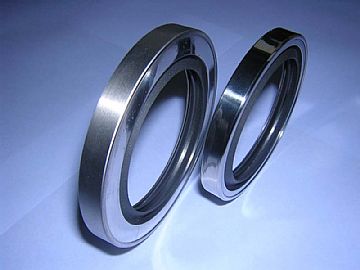 Quanseal&Trade;  Dls Series Ptfe Lip-Rotary Shaft Seal