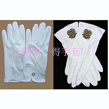 Embroidering Glove