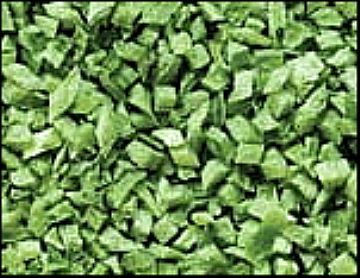 Fd Green Bell Pepper