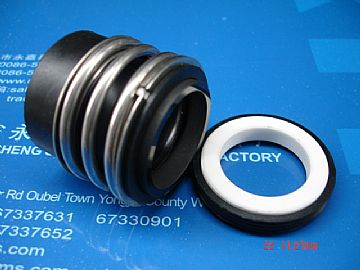 Mechanical Seals