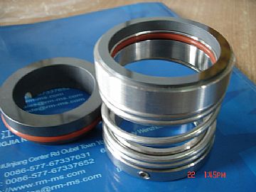 Mechanical Seals