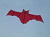 7025 Red Bat Kite