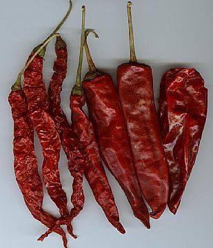 Chinese Red Chilli