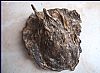 Aloeswood Chips (Agalloch Chips)(Eaglewood Chips)(Agarwood Chips)0006
