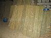 Natural Bamboo,Tonkin Bamboo,Bamboo Canes,Bamboo Sticks,Bamboo Poles