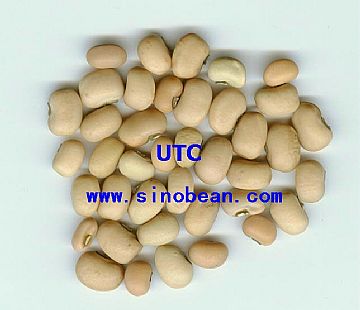 White Cowpeas