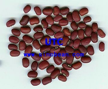 Red Cowpeas