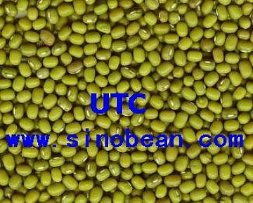 Mung Beans