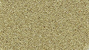 Black Hulled Millet