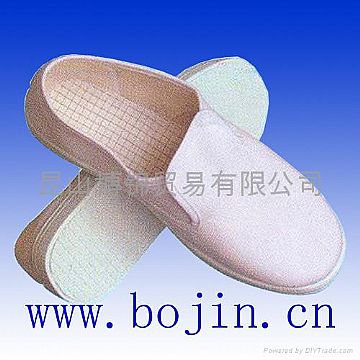 Anti-Electrostatic Shoe
