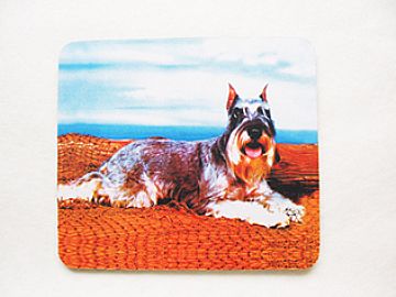 Hardtop Mouse Pad/Amt