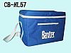 Cooler Bag For Medical Equipment
