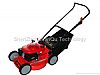Lawn Mower ZS5500