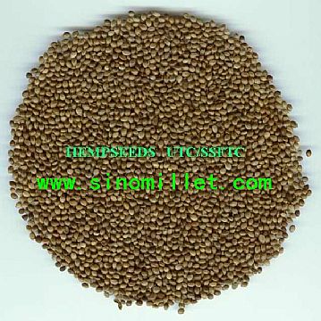 Chinese Hempseed Small Size