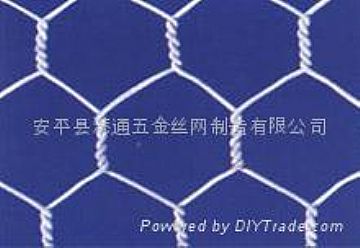 General Hexagonal Wire Mesh