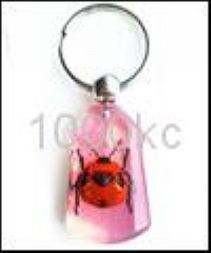 Keychain-Insect Amber Crafts