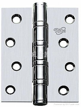 Stainless Steel Hinge 01Ss