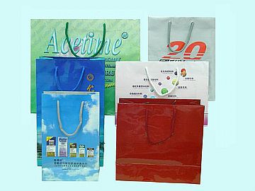 Gloss Laminated  Paper Bag