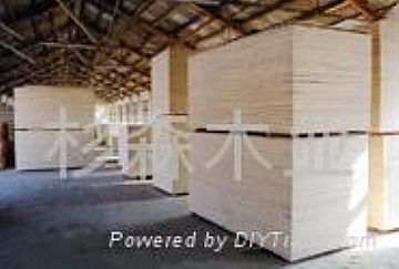 Paulownia Sawn Timber