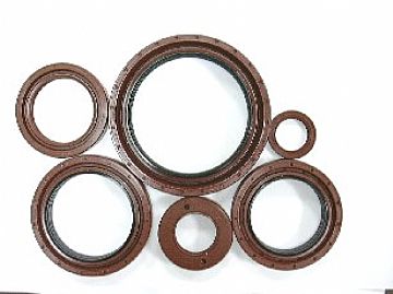 Viton (Fkm) Oil Seals