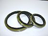 Oil Seal For Truck &Amp; Machine
