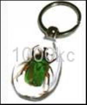 Keychain-Insect Amber Crafts