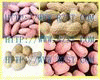 Peanuts(Groundnuts)/Kernels/In Shell/Roasted/Blanc