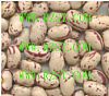 Light Speckled Kidney Beans-Oval/Ellipse