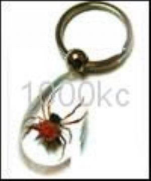 Keychain - Insect Amber Crafts