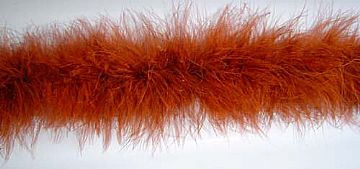 Marabou Boa，Top 1