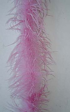 Ostrich Feather Boa,Short Pile
