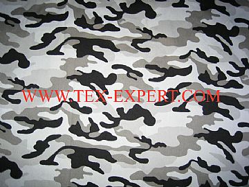Snow Camouflage