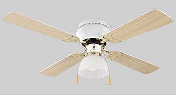 Ceiling Fan