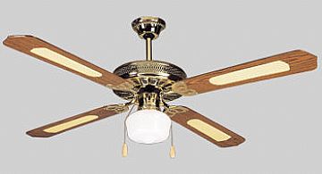Ceiling Fan