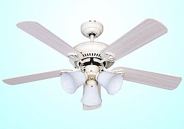Ceiling Fan